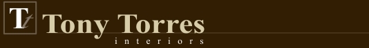 Tony Torres - interiors